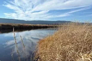 29630 Clearwater Dr, Sprague River, OR 97639 - Photo 3