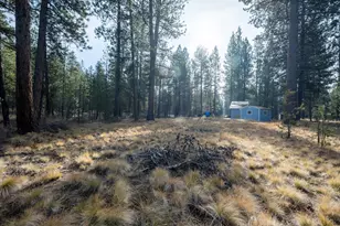 16354 Big Buck Ln, Bend, OR 97707 - Photo 11