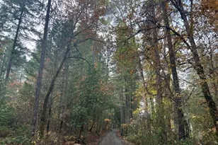 4184 E Evans Creek Rd, Rogue River, OR 97537 - Photo 35