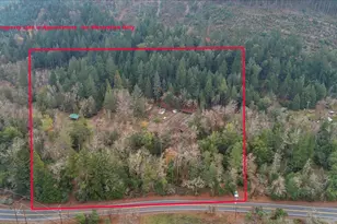 5201 Lakeshore Dr, Selma, OR 97538 - Photo 43