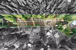 431 Red Blanket Rd, Prospect, OR 97536 - Photo 3