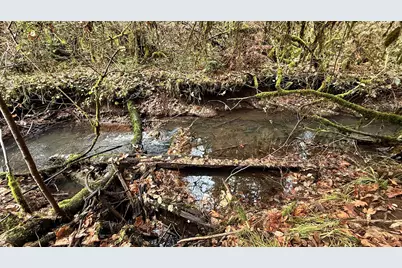 431 Red Blanket Road, Prospect, OR 97536 - Photo 47