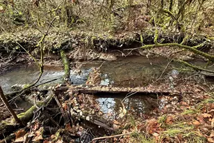 431 Red Blanket Rd, Prospect, OR 97536 - Photo 47