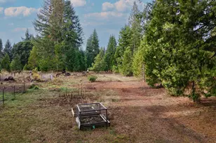 431 Red Blanket Rd, Prospect, OR 97536 - Photo 39