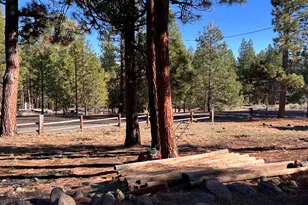 56758 Whitmore Street S, Bly, OR 97622 - Photo 5