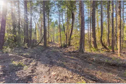 101 Three Mill Road, Selma, OR 97538 - Photo 15