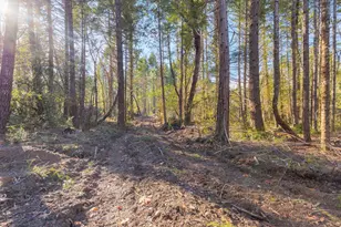 101 3 Mill Rd, Selma, OR 97538 - Photo 15