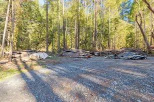 101 3 Mill Rd, Selma, OR 97538 - Photo 31