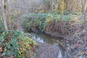 101 3 Mill Rd, Selma, OR 97538 - Photo 27