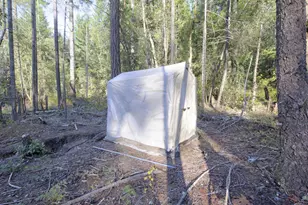 101 3 Mill Rd, Selma, OR 97538 - Photo 33