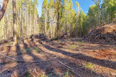 101 Three Mill Road, Selma, OR 97538 - Photo 19