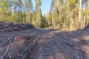 101 3 Mill Rd, Selma, OR 97538 - Photo 25