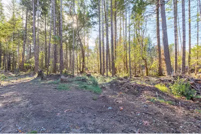 101 Three Mill Road, Selma, OR 97538 - Photo 13