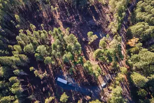 101 3 Mill Rd, Selma, OR 97538 - Photo 35