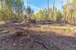 101 3 Mill Rd, Selma, OR 97538 - Photo 17