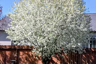 5151 Regency Dr, Klamath Falls, OR 97603 - Photo 33