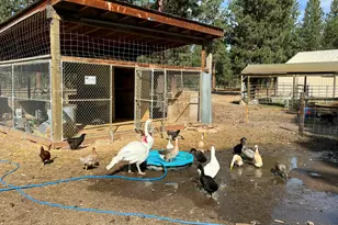 50765 Masten Rd, La Pine, OR 97739 - Photo 19