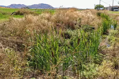 392 Del Fatti Lane, Klamath Falls, OR 97603 - Photo 59