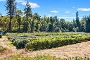 6534 Tunnel Loop Rd, Grants Pass, OR 97526 - Photo 3