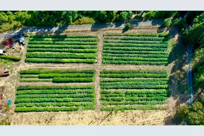 6534 Tunnel Loop Road, Grants Pass, OR 97526 - Photo 53