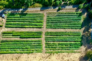 6534 Tunnel Loop Rd, Grants Pass, OR 97526 - Photo 53