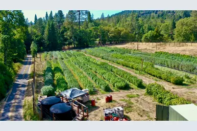 6534 Tunnel Loop Road, Grants Pass, OR 97526 - Photo 49