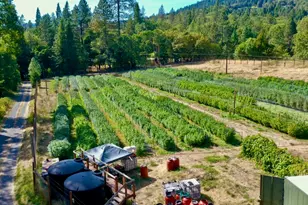 6534 Tunnel Loop Rd, Grants Pass, OR 97526 - Photo 49