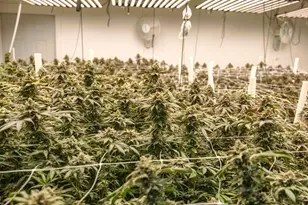 2315 Upper River Rd Loop, Grants Pass, OR 97527 - Photo 21