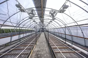 2315 Upper River Rd Loop, Grants Pass, OR 97527 - Photo 11