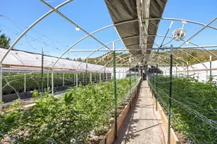 2315 Upper River Rd Loop, Grants Pass, OR 97527 - Photo 15