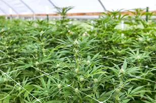 2315 Upper River Rd Loop, Grants Pass, OR 97527 - Photo 17