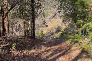 14477 Upper Applegate Rd, Jacksonville, OR 97530 - Photo 21