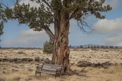 10498 SW Graham Road #4831, Culver, OR 97734 - Photo 7