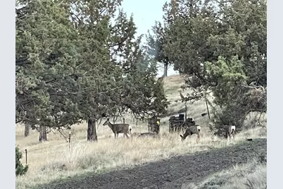 14751 SE Browning Street, Prineville, OR 97754 - Photo 5