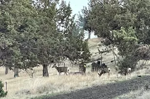 14751 SE Browning St, Prineville, OR 97754 - Photo 5