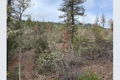 0 E Evans Creek Road #10149531, White City, OR 97503 - Photo 9