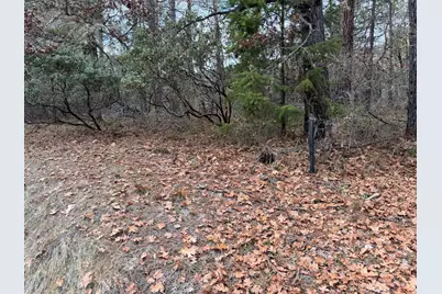 0 E Evans Creek Road #10149531, White City, OR 97503 - Photo 11