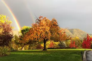 4806 Williams Hwy, Grants Pass, OR 97527 - Photo 47