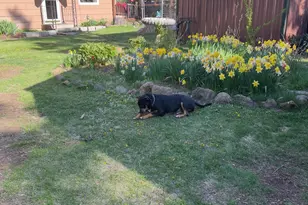 27233 Rocky Point Rd, Klamath Falls, OR 97601 - Photo 25