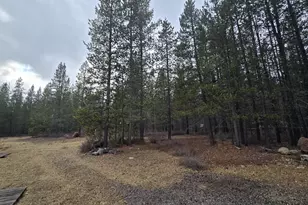 125220 Cappy Ct, Crescent Lake, OR 97733 - Photo 35