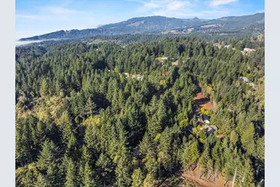 96120 Cape Ferrelo Road, Brookings, OR 97415 - Photo 35