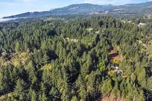 96120 Cape Ferrelo Rd, Brookings, OR 97415 - Photo 35