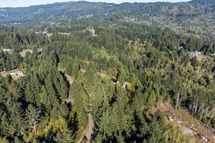 96120 Cape Ferrelo Rd, Brookings, OR 97415 - Photo 37