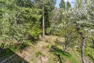 827 Tyler Creek Rd, Ashland, OR 97520 - Photo 29