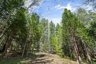 827 Tyler Creek Rd, Ashland, OR 97520 - Photo 27