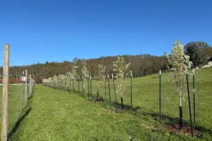 6015 Dark Hollow Rd, Medford, OR 97501 - Photo 85