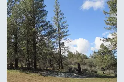 Partin Drive #2-3, Beatty, OR 97621 - Photo 3