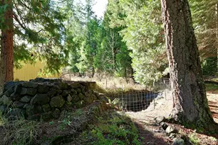 440 Red Blanket Rd, Prospect, OR 97536 - Photo 33