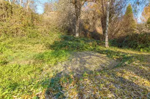 9395 Hwy 238, Jacksonville, OR 97530 - Photo 21