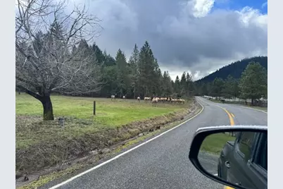 543 Serenity Lane, Grants Pass, OR 97526 - Photo 33